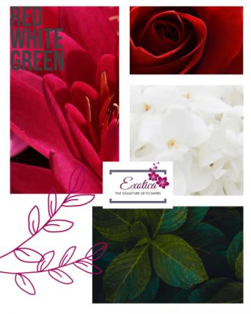 Candy Cane Designers Choice - Vase Arrangement