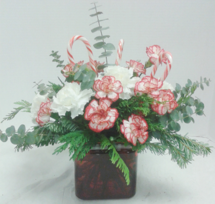 Candy Cane Dreams 
