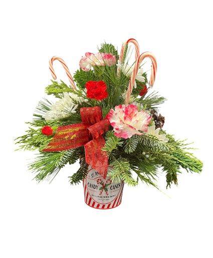 Candy Cane Holiday 
