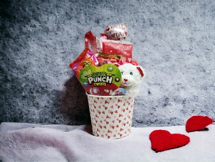 Candy & Plush Bucket 