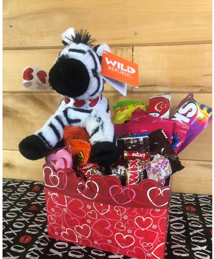 Candy with Plush Animal 