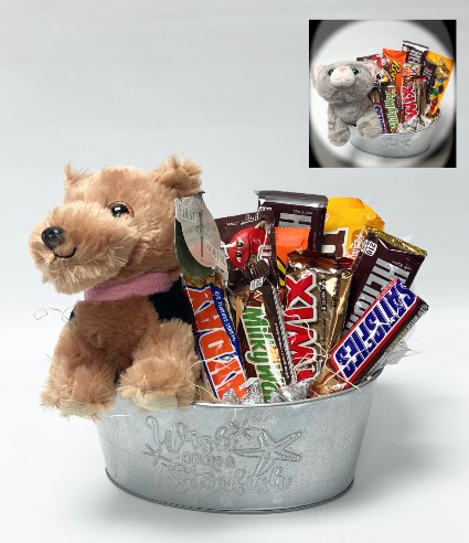 Candy/Plush Tin Candy