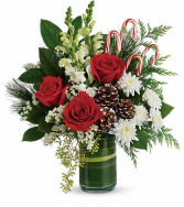 CANE OF JOY Christmas