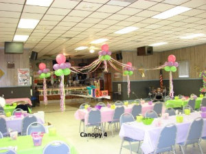 Canopy 4 