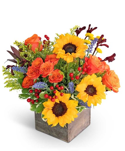 Canyon Blooms Flower Arrangement