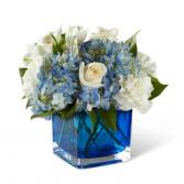 Captivating Cobalt  