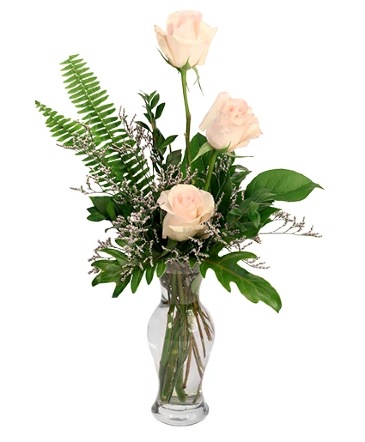 Captivating Cream Roses Rose Arrangement in Albany, NY | Ambiance Florals & Events