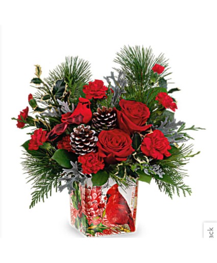 Cardinal Cheer  Christmas 