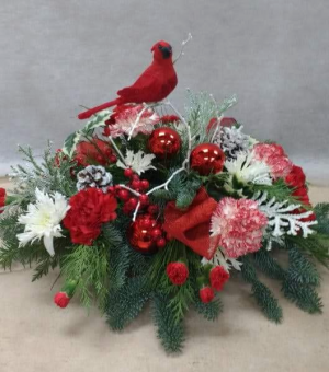 Cardinal Delight Fresh