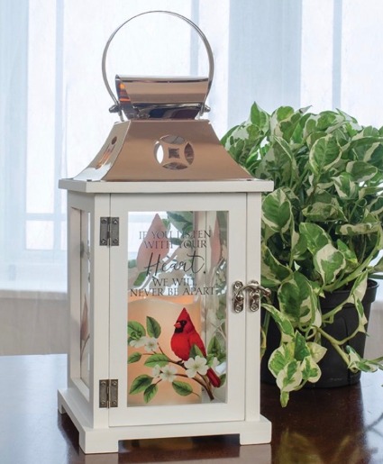 Cardinal Lantern Gift