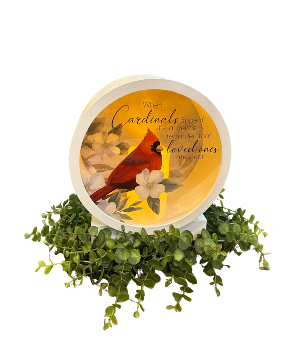 Cardinal Lantern 