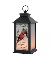 Cardinal Lantern Sympathy