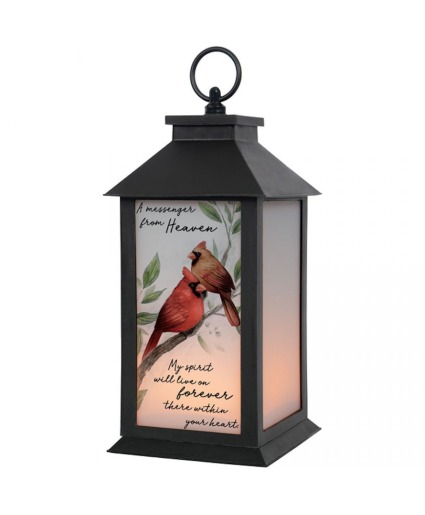 Cardinal Lantern Sympathy