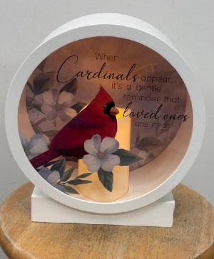 Cardinal  Led Lantern 