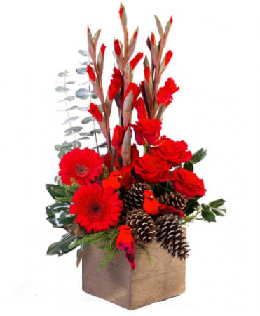 Cardinal LOVE For more products like this, go to our Christmas page