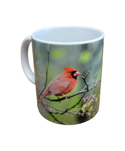 Cardinal On a branch 11 ounce Mug
