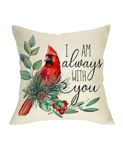 Cardinal Pillow  Cardinal Pillow 