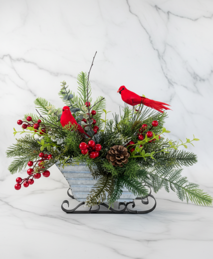 Cardinal Sled  silk 