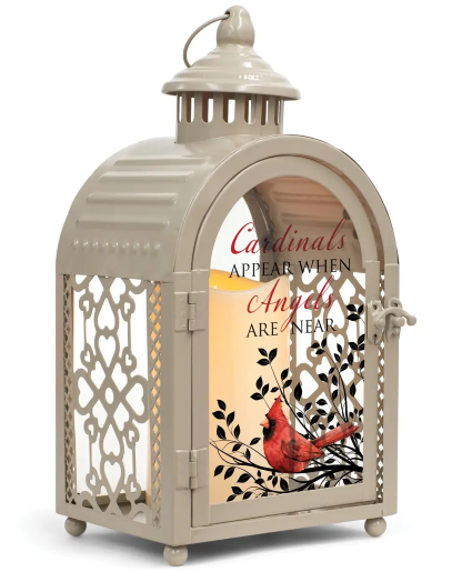 Cardinals Appear Sympathy Lantern 