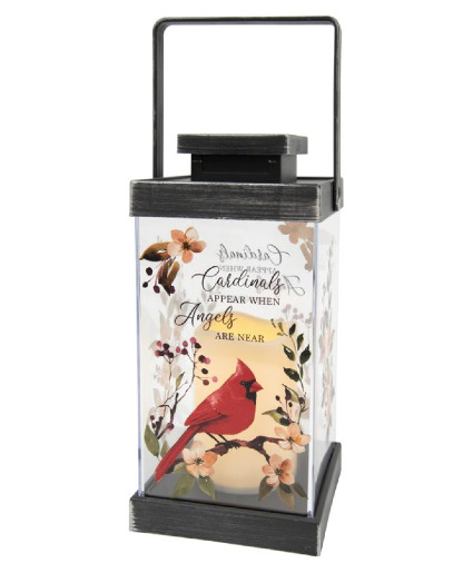 Cardinals appear when Angel near Antique Black Lantern
