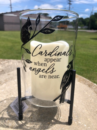 Cardinals appear when angels are near  
