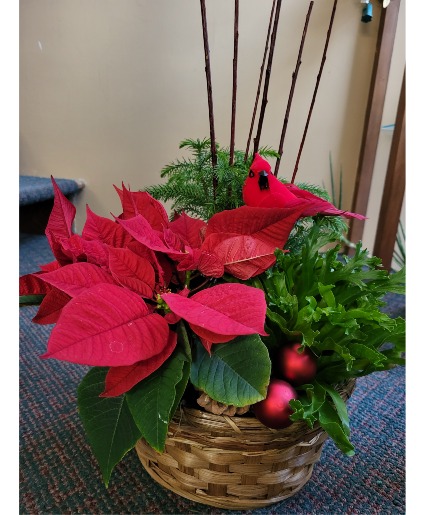 Cardinal's landing basket garden 