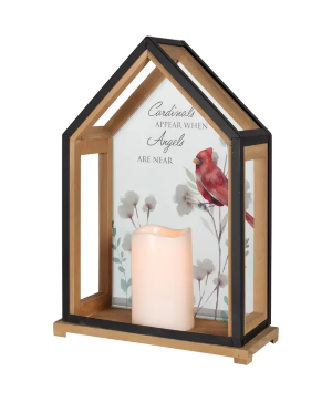 Cardinals Lantern 