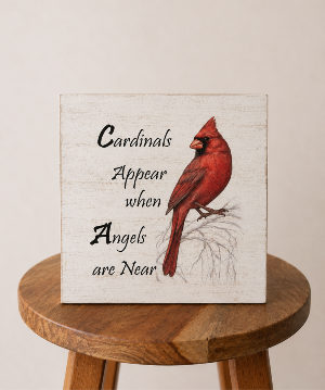 Cardinals Memory Box 