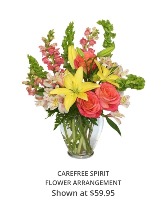 CAREFREE SPIRIT Fresh Arrangement