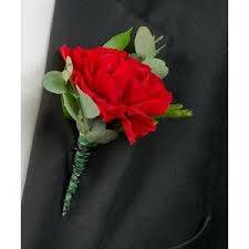 Carnation Bout 