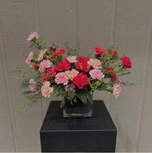 Carnation Crush  