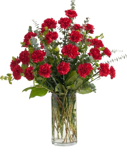 Carnation Vased Tribute 