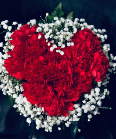 Carnations in a Heart Shape Valentine’s Day 