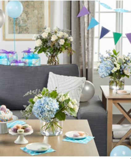 Carolina Blue CCB Party Set