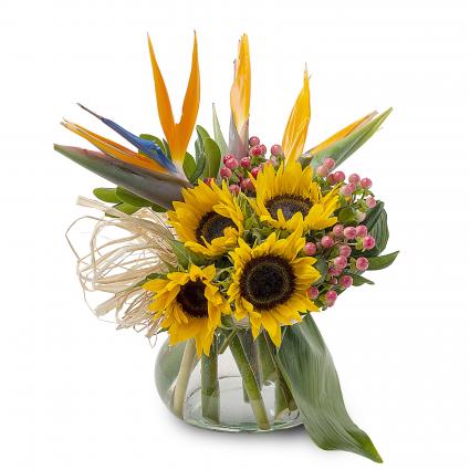 Carolyn's Paradise Arrangement