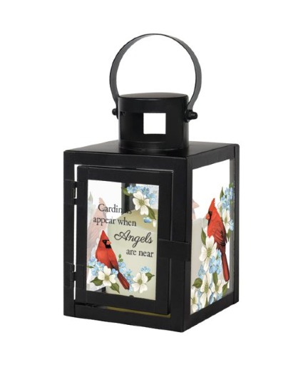 Carson® Lantern Cardinals Appear  