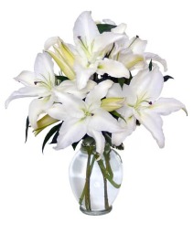 Casa Blanca Lilies 