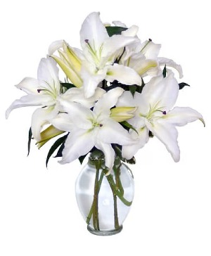 Casa Blanca Lilies 