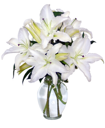 Casa Blanca Lilies Arrangement in San Antonio, TX | Bloomshop