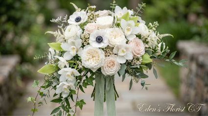 cascading anemone 