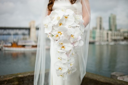 Cascading White Orchid  