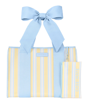Case Mate Blue And Yellow Stripe Bag 