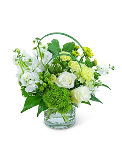 Cashmere Sweetie  Fresh flowers 