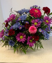 Today's Special #3 NFS-TOD3