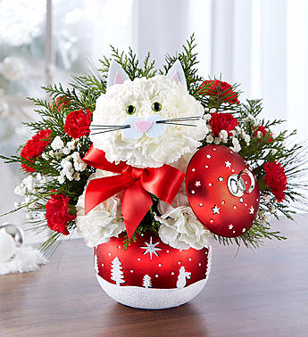 Cat In Christmas  Ornament Christmas