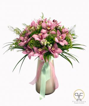 Cecilia´s Orchids  