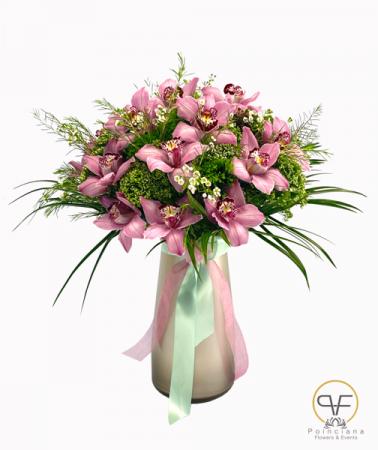 Cecilia´s Orchids  