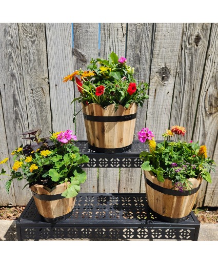 Cedar Planter  Blooming Plant
