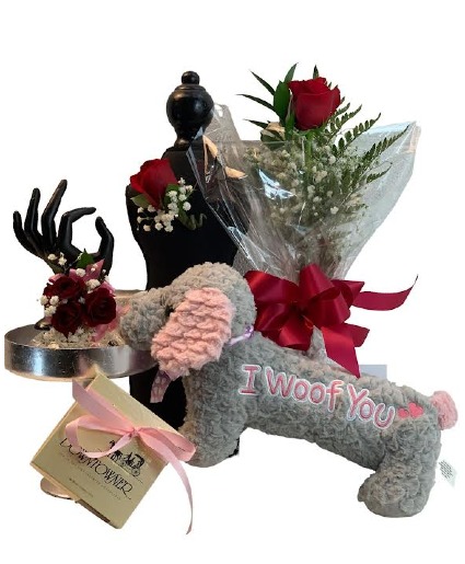 Celebrate Dance Bundle