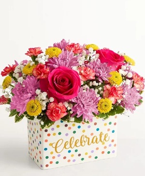Celebrate The Day  cheerful 